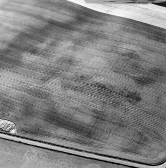 Oblique aerial view of Priest Bank centred on a subcircular cropmark.  Taken from the NE.