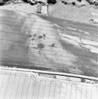 Congalton, oblique aerial view, taken from the S, centred on cropmarks including a ring-ditch, an enclosure, and a series of indeterminate marks.