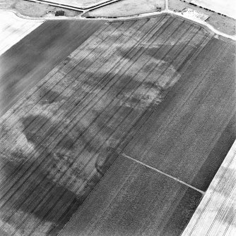 New Mains, oblique aerial view, taken from the SW, centred on cropmarks including enclosures and ring-ditches.