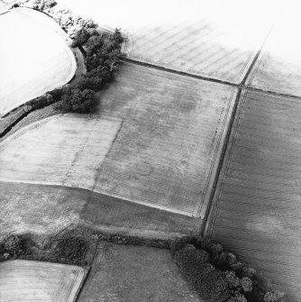 Cappuck Bridge, oblique aerial view taken from the SE, centred on the cropmark of a circular enclosure.