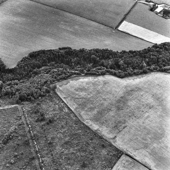 Oblique aerial view.