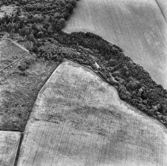 Oblique aerial view.