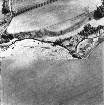 Cappuck, oblique aerial view, taken from the NW, centred on the cropmark of an enclosure.