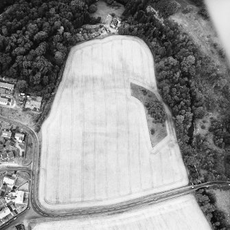 Mantle Walls, oblique aerial view, taken from the S, centred on cropmarks that are thought to represent the location of an episcopal palace.