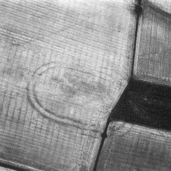 Oblique aerial view showing the cropmarks of Courthill fort.