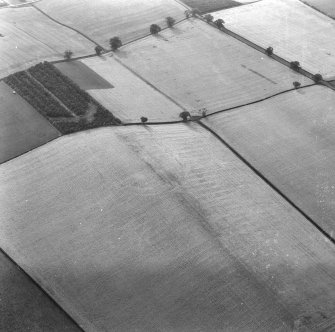 Oblique aerial view.