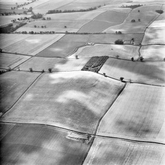 Oblique aerial view.