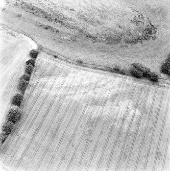 Westfield, oblique aerial view taken from the NW , centred on the cropmarks of two enclosures.