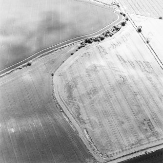 Aerial view of Preston Mains, taken from the NW, centred on the arc of a cropmark and ring ditches.