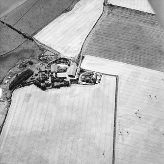 Oblique aerial view centred on the cropmarks of the settlements and enclosure, taken from the NE.