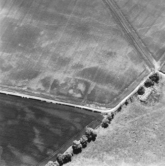 Aerial view of Doon Hill, taken from the NW, centred on the cropmark of a rectilinear enclosure.  A cropmark of a possible palisaded enclosure, situated to the N, is visible in the bottom centre of the photograph.