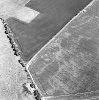 Aerial view of Doon Hill, taken from the SSW, centred on a cropmark of a rectilinear enclosure.  A cropmark of a possible palisaded enclosure, situated to the N, is visible in the centre left of the photograph.  A timber hall encloure, also to the N, is visible in the top left-hand corner of the photograph.