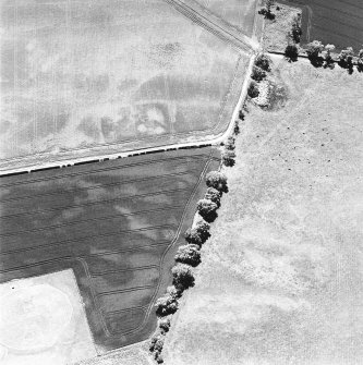 Aerial view of Doon Hill, taken from the NNW, centred on a cropmark of a possible palisaded enclusure.  A cropmark of a rectilinear enclosure, situated to the S, is visible in the top centre of the photograph.  A timber hall encloure, situated to the N, is visible in the bottom left-hand corner of the photograph.