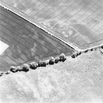 Aerial view of Doon Hill, taken from the NW, centred on a cropmark of a possible palisaded enclosure.  A cropmark of a rectilinear enclosure, situated to the S, is visible in the top centre of the photograph.