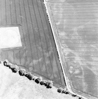 Aerial view of Doon Hill, taken from the W.  A cropmark of a rectilinear enlcosure is visible in the bottom left hand corner of the photograph.  A cropmark of a possible palisaded enclosure is visible in the bottom centre.  A timber hall enclosure is visible in the centre left of the photograph.