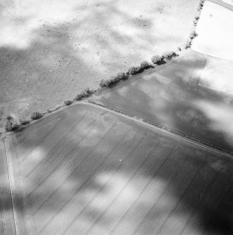 Oblique aerial view centred on the cropmarks of the rectilinear settlement and cropmarks with the cropmarks of the possible enclosure adjacent, taken from the SSE.