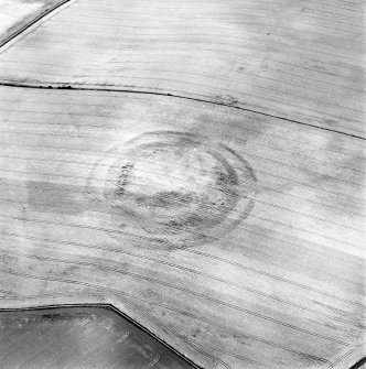 Oblique aerial view centred on the cropmarks of the fort, taken from the SSW.