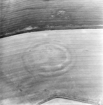 Oblique aerial view centred on the cropmarks of the fort, taken from the SW.