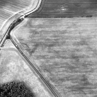 Oblique aerial view centred on the field boundaries and cropmarks, taken from the SW.