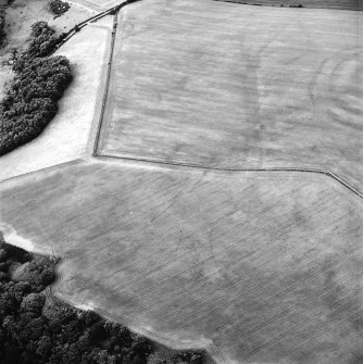 Oblique aerial view centred on the cropmarks of the field boundaries and cropmarks with fort adjacent, taken from the SSW.