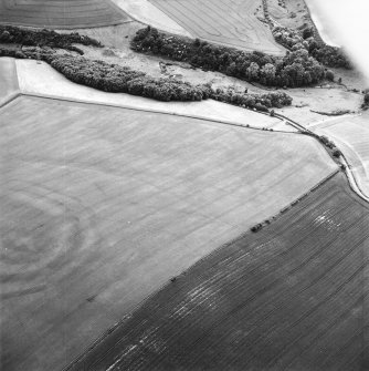 Oblique aerial view centred on the cropmarks of the field boundaries and cropmarks with fort adjacent, taken from the ENE.