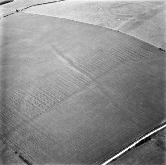 The Chesters, Spott and Spott Dod, linear cropmark: oblique air photograph of cropmarks
