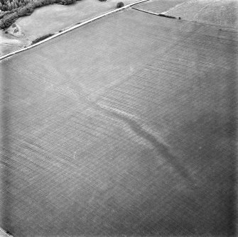 Spott Dod, linear cropmark: oblique air photograph of cropmarks
