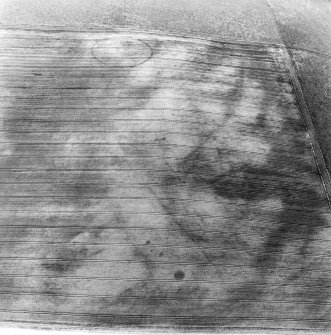 Oblique aerial view centred on the cropmarks of the possible settlement, linear cropmarks, pits and possible roundhouse, taken from the ENE.