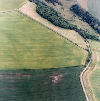 Oblique aerial view centred on the field boundaries and cropmarks, taken from the NE.
