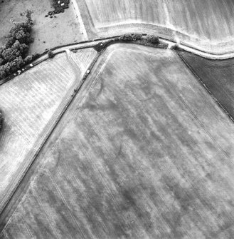 Oblique aerial view centred on the field boundaries and cropmarks, taken from the SSE.