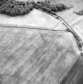 Oblique aerial view centred on the field boundaries and cropmarks, taken from the E.