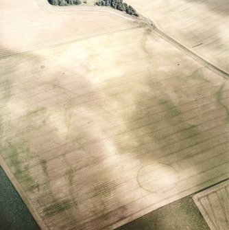 Oblique aerial view centred on the cropmarks of the possible settlement with the cropmarks of the round house and pits adjacent, taken from the W.