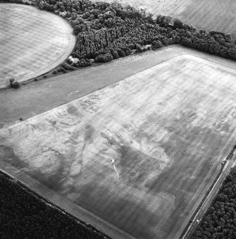 Whitekirk, oblique aerial view, taken from the NW, centred on cropmarks including those of barrows and ring-ditches. Cropmarks of a settlement are visible in the centre right of the photograph.