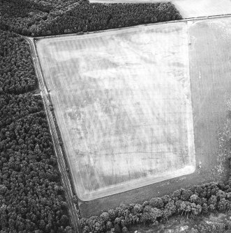 Whitekirk, oblique aerial view, taken from the SSE, centred on cropmarks of a settlement. Further cropmarks are visible in the top half of the photograph.