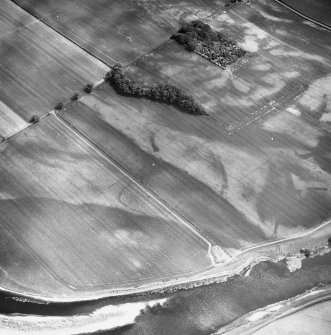 Whitmuirhaugh, Sprouston, cropmarks: oblique air photograph.