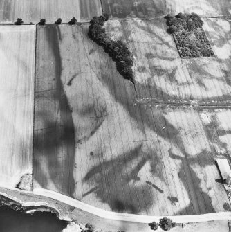 Whitmuirhaugh, Sprouston, cropmarks: oblique air photograph.