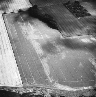 Oblique aerial view