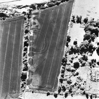 Springhill, oblique aerial view, taken from the NE, centred on cropmarks including those of a fort.