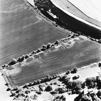 Springhill, oblique aerial view, taken from the N, centred on cropmarks including those of a fort.