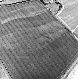 Redden Haugh, oblique aerial view, taken from the N, centred on the cropmarks of pits. A further area of indeterminate cropmarks is visible in the centre left of the photograph.