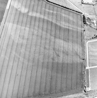 Redden Haugh, oblique aerial view, taken from the NNW, centred on the cropmarks of pits. Cropmarks of enclosures and ring-ditches are visible in the top left-hand corner of the photograph.