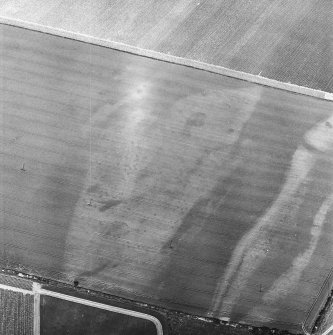 Redden Haugh, oblique aerial view, taken from the WSW, centred on the cropmarks of pits, enclosures and ring-ditches.