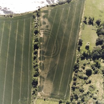 Springhill, oblique aerial view, taken from the NE, centred on cropmarks including those of a fort.