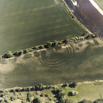 Springhill, oblique aerial view, taken from the NNW, centred on cropmarks including those of a fort.