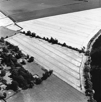 Oblique aerial view of Springhill centred on the cropmarks of a fort, taken from the NW.