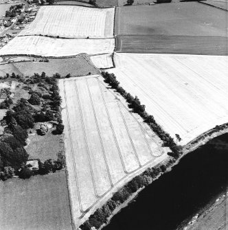 Oblique aerial view of Springhill centred on the cropmarks of a fort, taken from the WSW.