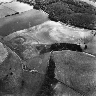 Oblique aerial view centred on plantation bank from W.