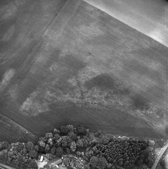 Edrom, oblique aerial view taken from the SW, centred on the cropmarks of pit-alignments.