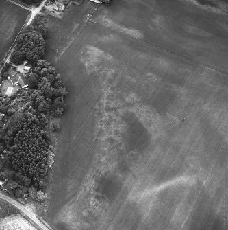 Edrom, oblique aerial view taken from the SE, centred on the cropmarks of pit-alignments.
