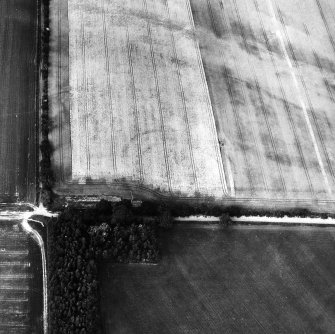 East Reston, fort and enclosure: oblique air photograph of cropmarks.